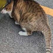 ヒメ日記 2025/02/01 14:41 投稿 佐々木りょうこ 若奥サマンサ（横浜ハレ系）