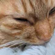 ヒメ日記 2025/02/08 09:59 投稿 佐々木りょうこ 若奥サマンサ（横浜ハレ系）