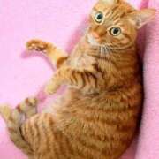 ヒメ日記 2025/02/22 22:38 投稿 佐々木りょうこ 若奥サマンサ（横浜ハレ系）