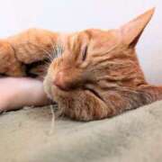 ヒメ日記 2025/02/26 21:31 投稿 佐々木りょうこ 若奥サマンサ（横浜ハレ系）