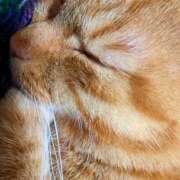 ヒメ日記 2025/02/27 22:25 投稿 佐々木りょうこ 若奥サマンサ（横浜ハレ系）