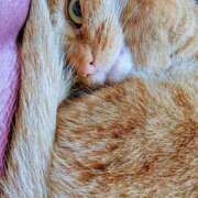 ヒメ日記 2025/03/03 22:13 投稿 佐々木りょうこ 若奥サマンサ（横浜ハレ系）