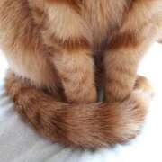 ヒメ日記 2025/03/05 22:46 投稿 佐々木りょうこ 若奥サマンサ（横浜ハレ系）