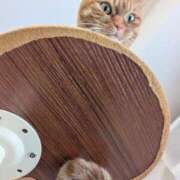 ヒメ日記 2025/03/10 22:34 投稿 佐々木りょうこ 若奥サマンサ（横浜ハレ系）