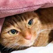 ヒメ日記 2025/03/16 20:32 投稿 佐々木りょうこ 若奥サマンサ（横浜ハレ系）