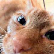 ヒメ日記 2025/03/19 09:26 投稿 佐々木りょうこ 若奥サマンサ（横浜ハレ系）