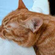 ヒメ日記 2025/03/21 08:16 投稿 佐々木りょうこ 若奥サマンサ（横浜ハレ系）