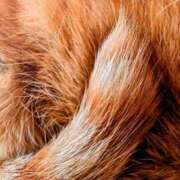 ヒメ日記 2025/03/25 22:21 投稿 佐々木りょうこ 若奥サマンサ（横浜ハレ系）