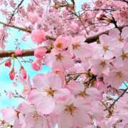 ヒメ日記 2025/03/28 08:45 投稿 佐々木りょうこ 若奥サマンサ（横浜ハレ系）