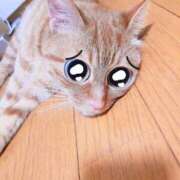 ヒメ日記 2025/04/01 10:09 投稿 佐々木りょうこ 若奥サマンサ（横浜ハレ系）