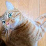 ヒメ日記 2025/04/05 19:08 投稿 佐々木りょうこ 若奥サマンサ（横浜ハレ系）