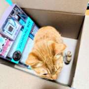 ヒメ日記 2025/04/13 09:38 投稿 佐々木りょうこ 若奥サマンサ（横浜ハレ系）