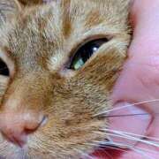 ヒメ日記 2025/04/17 09:51 投稿 佐々木りょうこ 若奥サマンサ（横浜ハレ系）