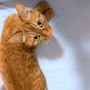 ヒメ日記 2025/04/29 17:35 投稿 佐々木りょうこ 若奥サマンサ（横浜ハレ系）