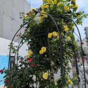 ヒメ日記 2025/05/09 20:25 投稿 佐々木りょうこ 若奥サマンサ（横浜ハレ系）