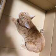 ヒメ日記 2025/05/11 19:10 投稿 佐々木りょうこ 若奥サマンサ（横浜ハレ系）