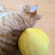 ヒメ日記 2025/05/14 22:08 投稿 佐々木りょうこ 若奥サマンサ（横浜ハレ系）