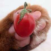 ヒメ日記 2025/05/16 14:12 投稿 佐々木りょうこ 若奥サマンサ（横浜ハレ系）