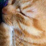 ヒメ日記 2025/05/18 23:24 投稿 佐々木りょうこ 若奥サマンサ（横浜ハレ系）