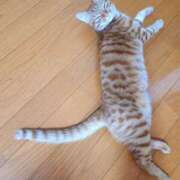 ヒメ日記 2025/05/21 22:41 投稿 佐々木りょうこ 若奥サマンサ（横浜ハレ系）