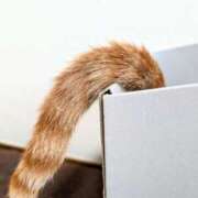 ヒメ日記 2025/05/26 07:44 投稿 佐々木りょうこ 若奥サマンサ（横浜ハレ系）