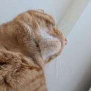 ヒメ日記 2025/05/29 21:41 投稿 佐々木りょうこ 若奥サマンサ（横浜ハレ系）