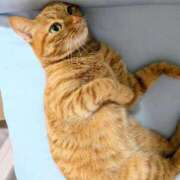 ヒメ日記 2025/05/31 09:47 投稿 佐々木りょうこ 若奥サマンサ（横浜ハレ系）