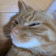 ヒメ日記 2025/06/02 09:42 投稿 佐々木りょうこ 若奥サマンサ（横浜ハレ系）