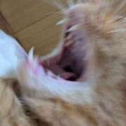 ヒメ日記 2025/06/02 22:30 投稿 佐々木りょうこ 若奥サマンサ（横浜ハレ系）