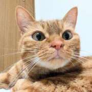 ヒメ日記 2025/06/06 08:29 投稿 佐々木りょうこ 若奥サマンサ（横浜ハレ系）