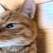 ヒメ日記 2025/06/07 14:35 投稿 佐々木りょうこ 若奥サマンサ（横浜ハレ系）