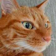 ヒメ日記 2025/06/12 21:28 投稿 佐々木りょうこ 若奥サマンサ（横浜ハレ系）