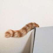 ヒメ日記 2025/06/13 21:59 投稿 佐々木りょうこ 若奥サマンサ（横浜ハレ系）