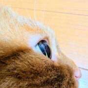 ヒメ日記 2025/06/15 10:43 投稿 佐々木りょうこ 若奥サマンサ（横浜ハレ系）