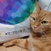 ヒメ日記 2025/06/16 08:54 投稿 佐々木りょうこ 若奥サマンサ（横浜ハレ系）