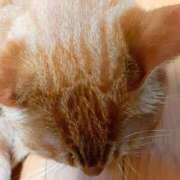 ヒメ日記 2025/06/20 14:18 投稿 佐々木りょうこ 若奥サマンサ（横浜ハレ系）