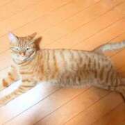 ヒメ日記 2025/06/22 21:04 投稿 佐々木りょうこ 若奥サマンサ（横浜ハレ系）