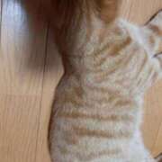 ヒメ日記 2025/07/05 09:41 投稿 佐々木りょうこ 若奥サマンサ（横浜ハレ系）