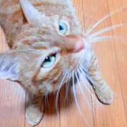 ヒメ日記 2025/07/06 19:26 投稿 佐々木りょうこ 若奥サマンサ（横浜ハレ系）