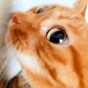 ヒメ日記 2025/07/09 05:55 投稿 佐々木りょうこ 若奥サマンサ（横浜ハレ系）