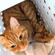 ヒメ日記 2025/07/09 21:41 投稿 佐々木りょうこ 若奥サマンサ（横浜ハレ系）