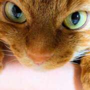 ヒメ日記 2025/07/10 20:57 投稿 佐々木りょうこ 若奥サマンサ（横浜ハレ系）