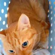 ヒメ日記 2025/08/27 06:03 投稿 佐々木りょうこ 若奥サマンサ（横浜ハレ系）