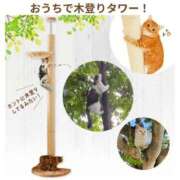 ヒメ日記 2025/08/29 22:13 投稿 佐々木りょうこ 若奥サマンサ（横浜ハレ系）