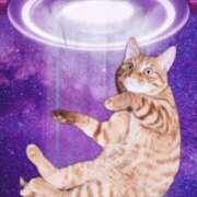 ヒメ日記 2025/09/02 22:04 投稿 佐々木りょうこ 若奥サマンサ（横浜ハレ系）