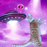 ヒメ日記 2025/09/04 21:21 投稿 佐々木りょうこ 若奥サマンサ（横浜ハレ系）