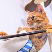 ヒメ日記 2025/09/05 14:45 投稿 佐々木りょうこ 若奥サマンサ（横浜ハレ系）