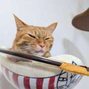 ヒメ日記 2025/09/07 12:10 投稿 佐々木りょうこ 若奥サマンサ（横浜ハレ系）