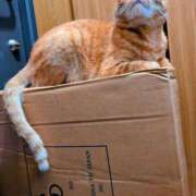 ヒメ日記 2025/09/09 21:50 投稿 佐々木りょうこ 若奥サマンサ（横浜ハレ系）