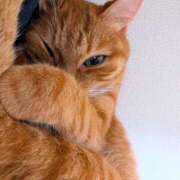 ヒメ日記 2025/09/18 22:47 投稿 佐々木りょうこ 若奥サマンサ（横浜ハレ系）